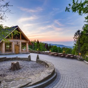 Forest Resort